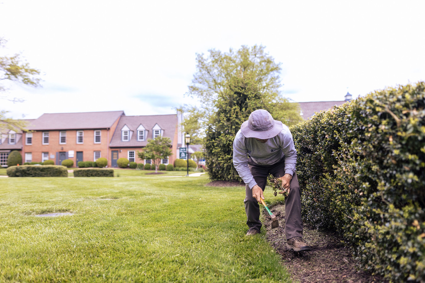lucas and clark grounds company, professional lawn care and landscaping