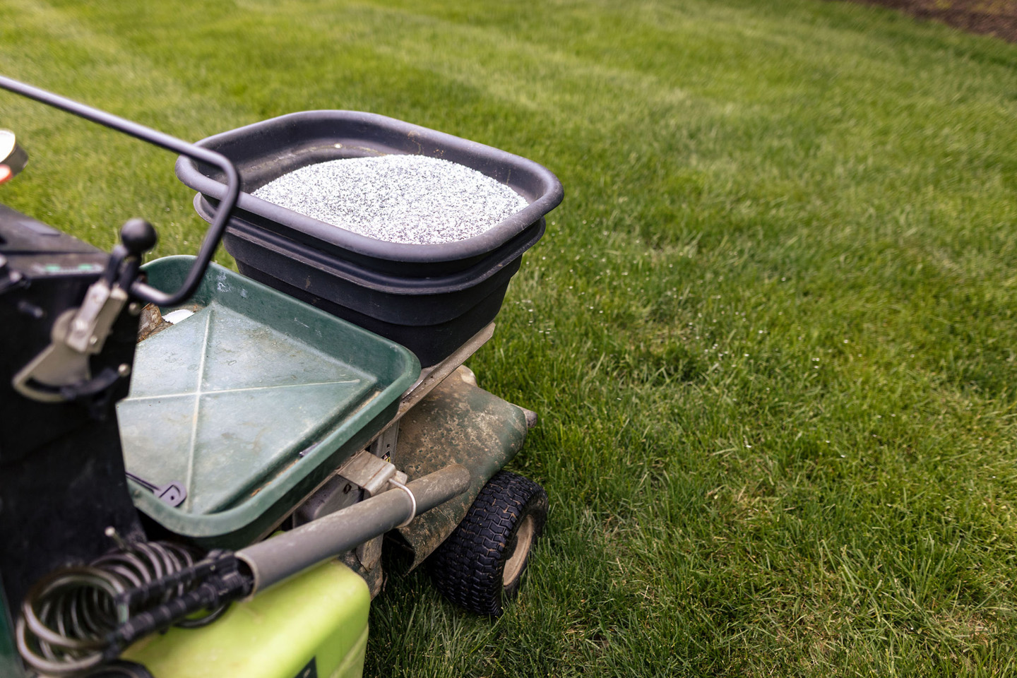 lucas and clark grounds company, professional lawn care and landscaping