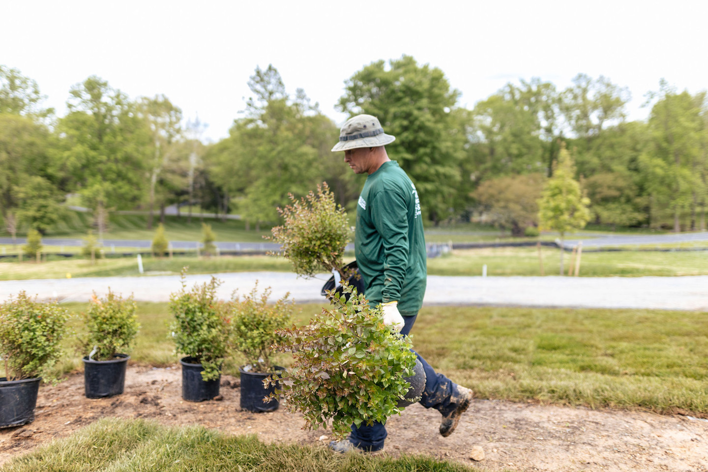 At Lucas and Clark, we love to provide Tree services and expert Plant installation. Here is one of our employees carrying out that task