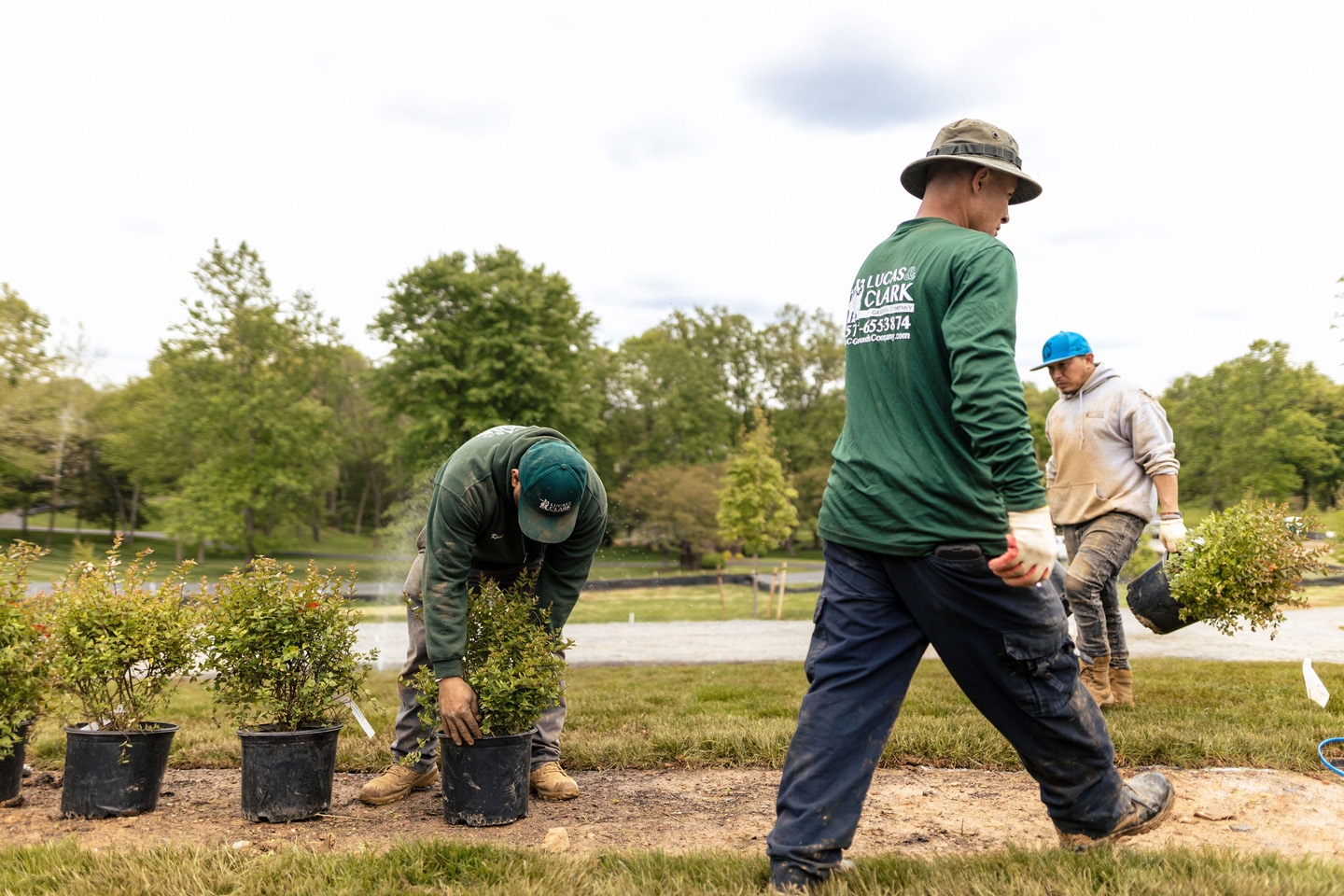 lucas and clark grounds company, professional lawn care and landscaping