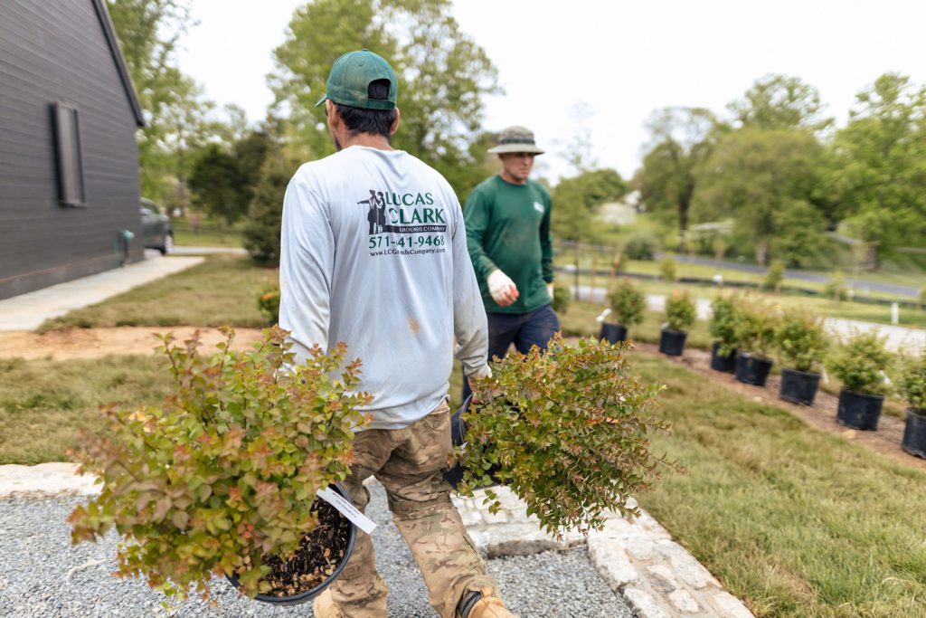 lucas and clark grounds company, professional lawn care and landscaping