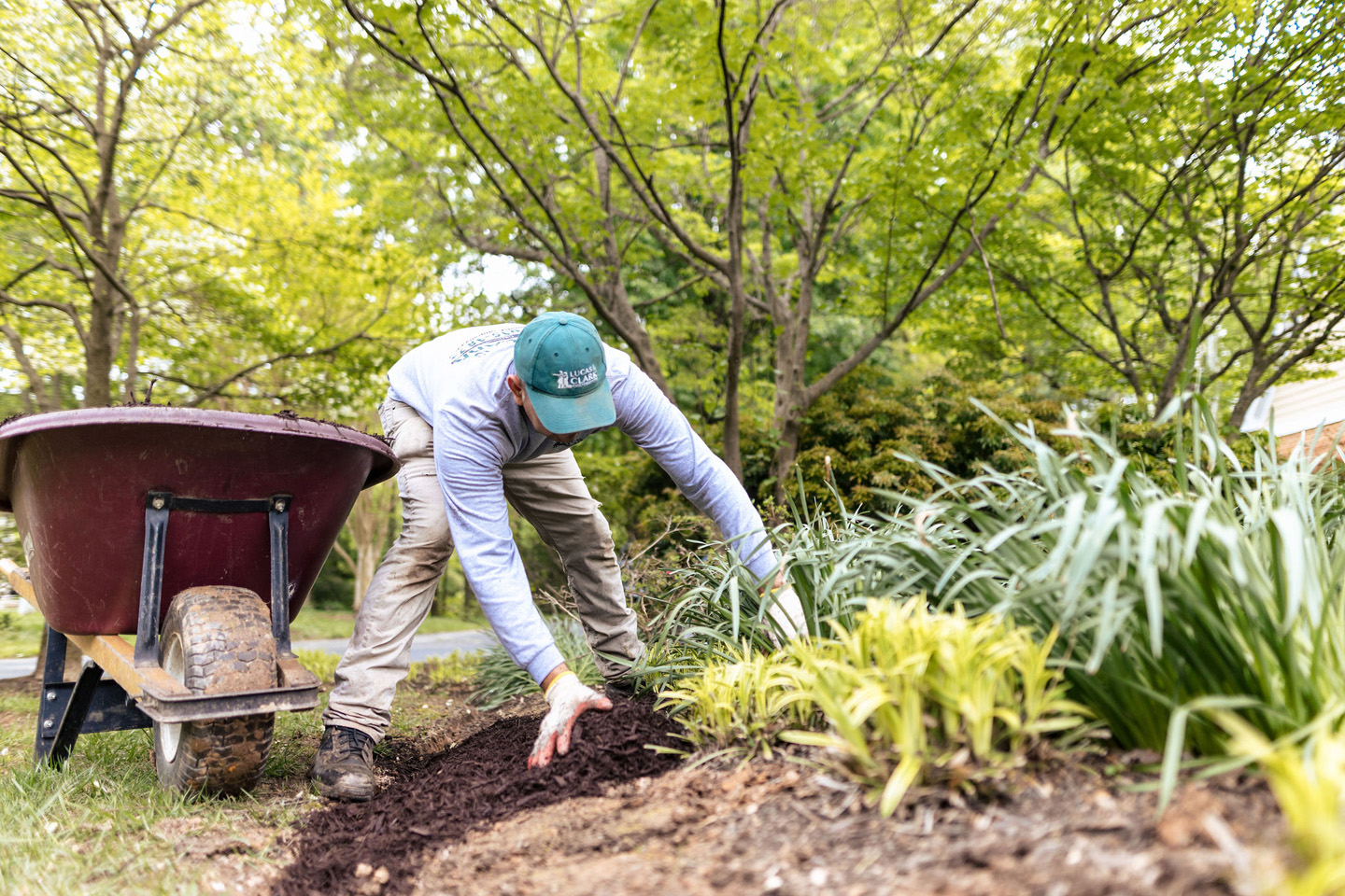 lucas and clark grounds company, professional lawn care and landscaping