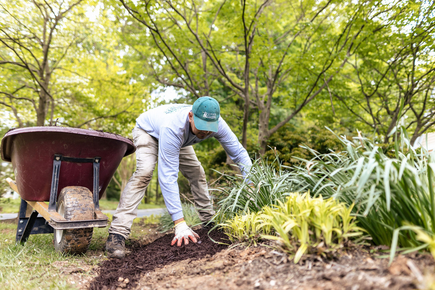 l&C Grounds Company provides professional tree removal and lot cleaning services. Here's an image of one fo our experts carrying out some cleaning and maintenance services