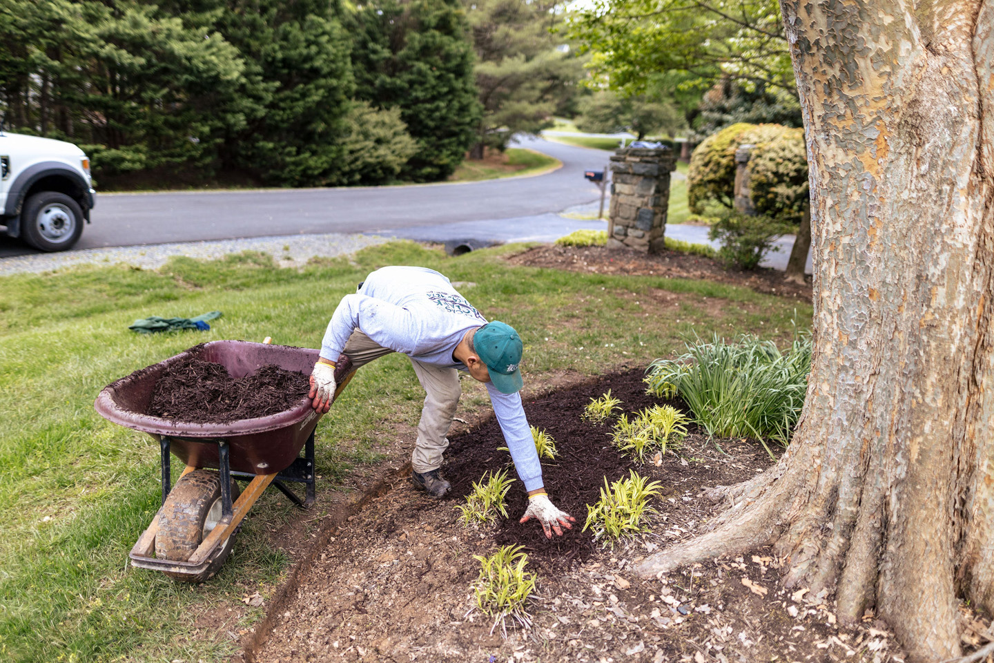 L&C Grounds mulching commercial property 