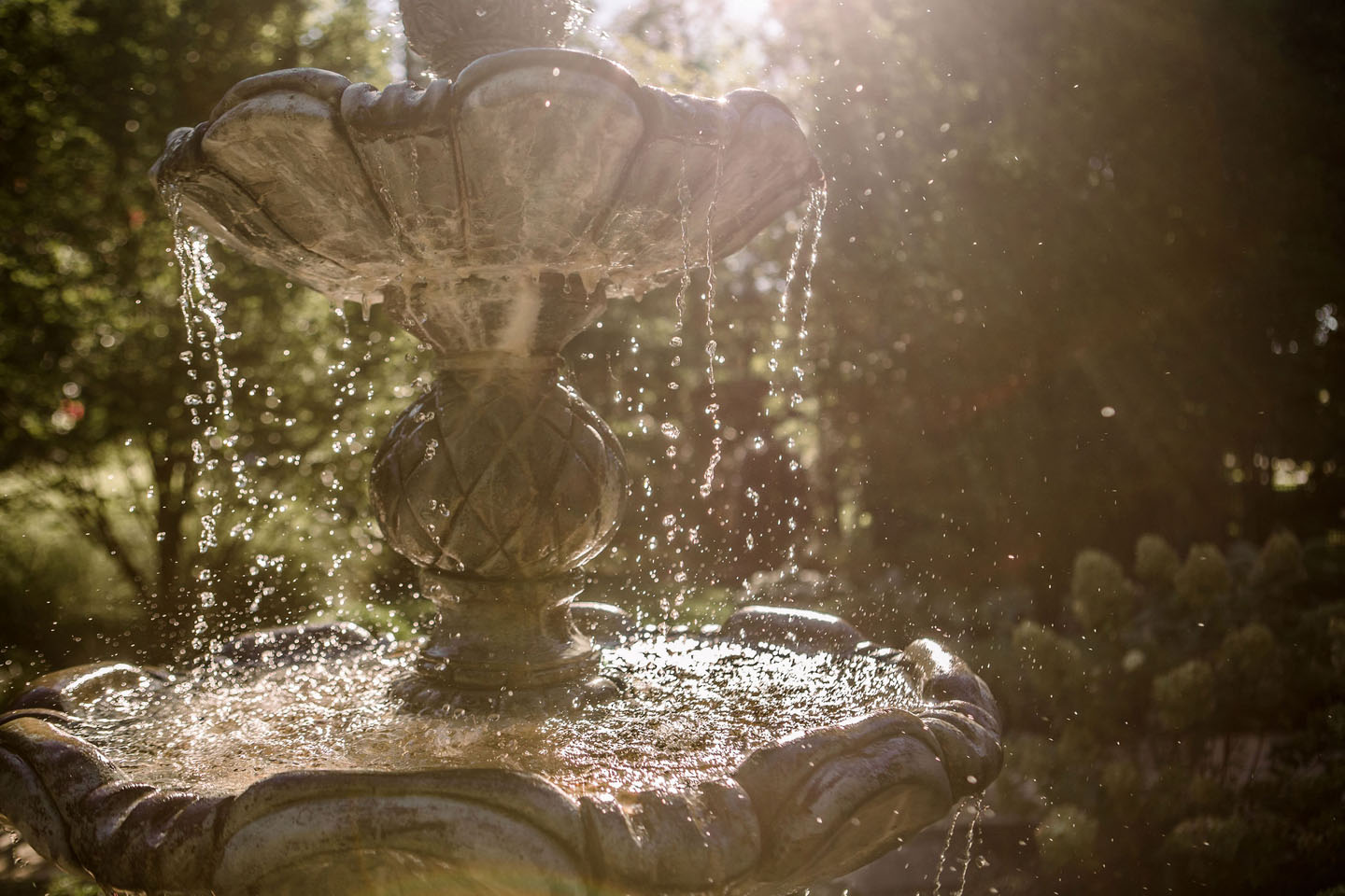 lucas and clark grounds company, professional lawn care and landscaping