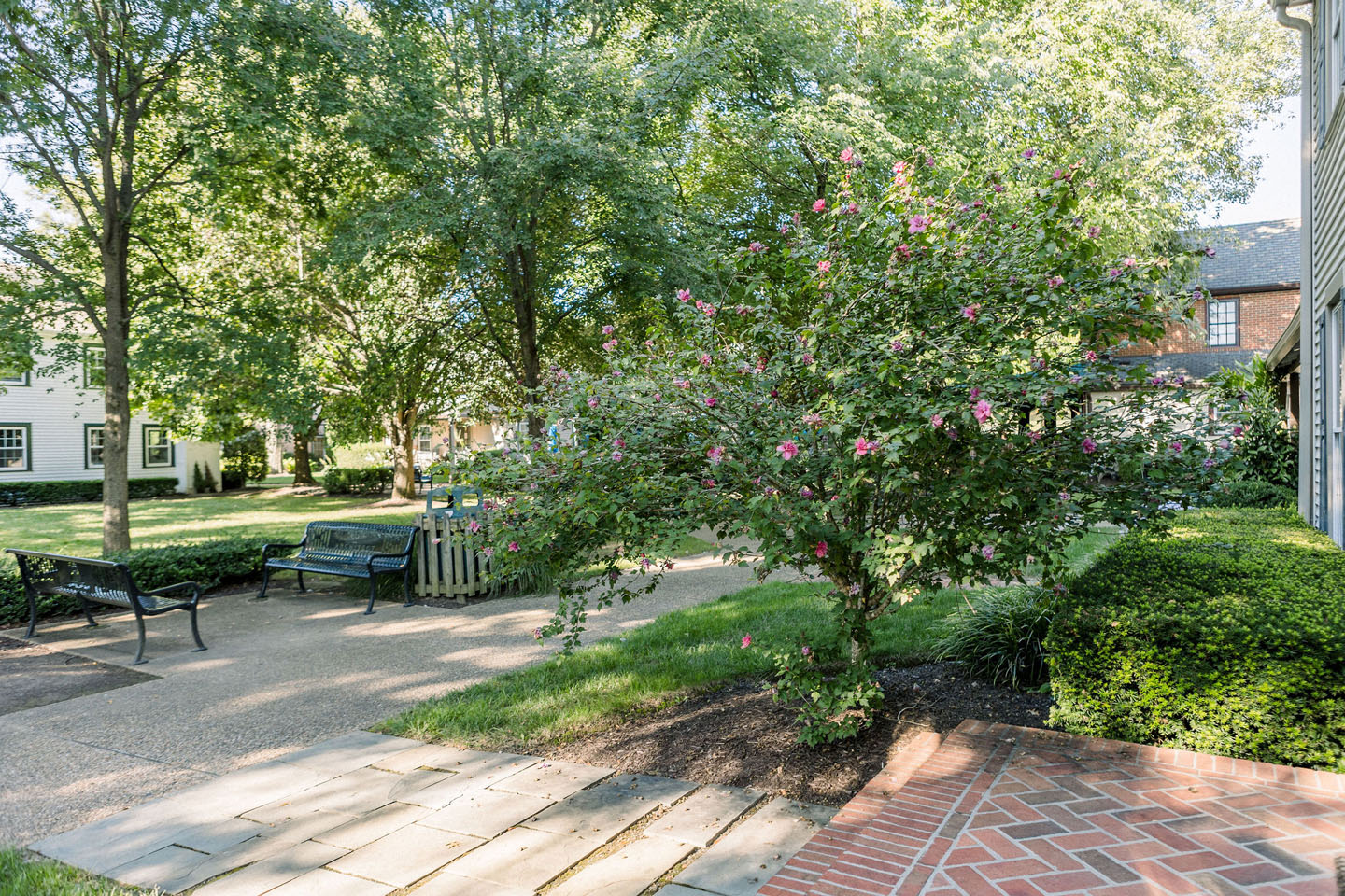 lucas and clark grounds company, professional lawn care and landscaping