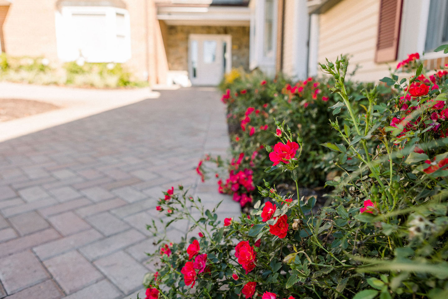 lucas and clark grounds company, professional lawn care and landscaping