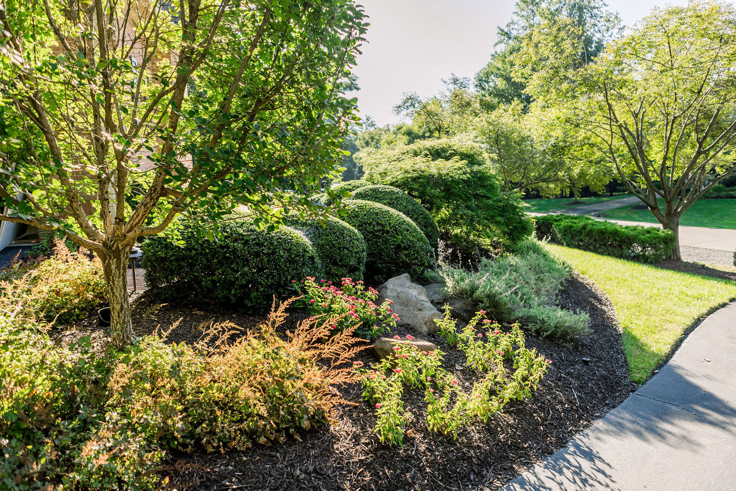 lucas and clark grounds company, professional lawn care and landscaping