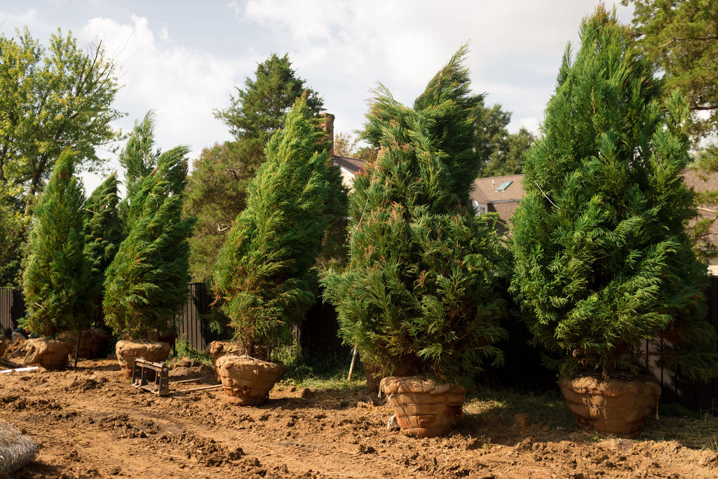 lucas and clark grounds company, professional lawn care and landscaping