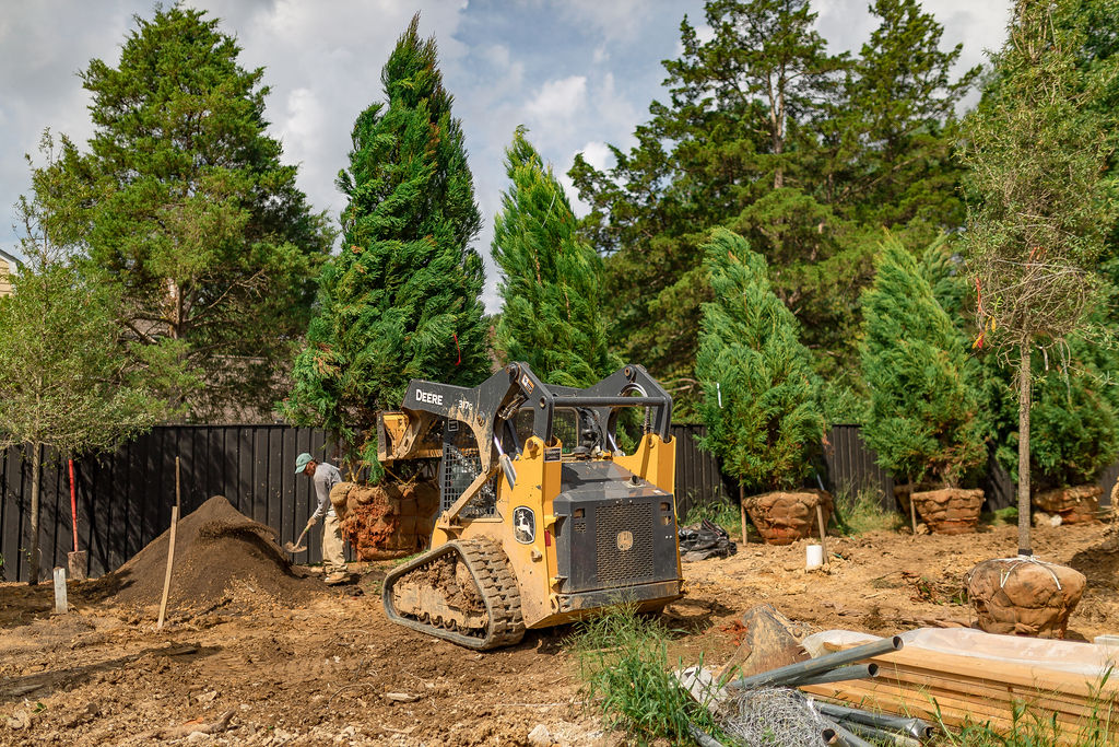 Plant and tree installation