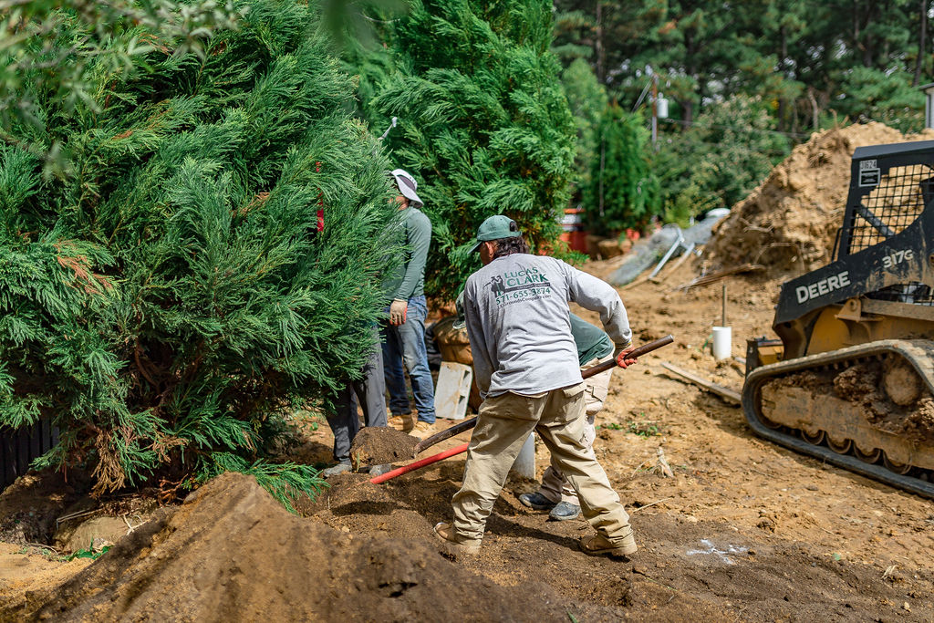 Block Neighbors with Landscaping in northern va