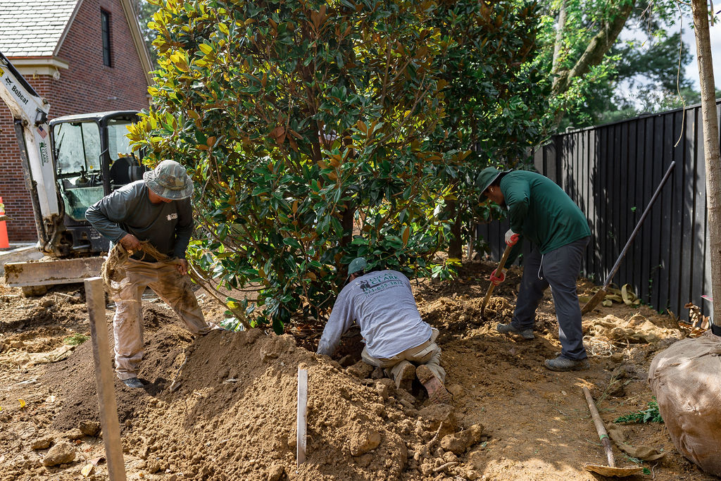 lucas and clark grounds company, professional lawn care and landscaping