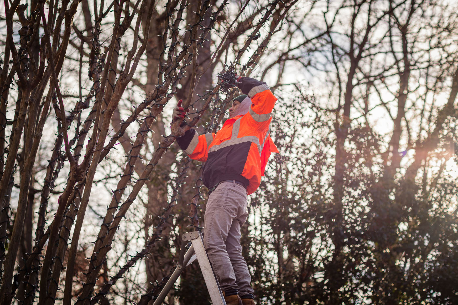 lucas and clark grounds company, professional lawn care and landscaping