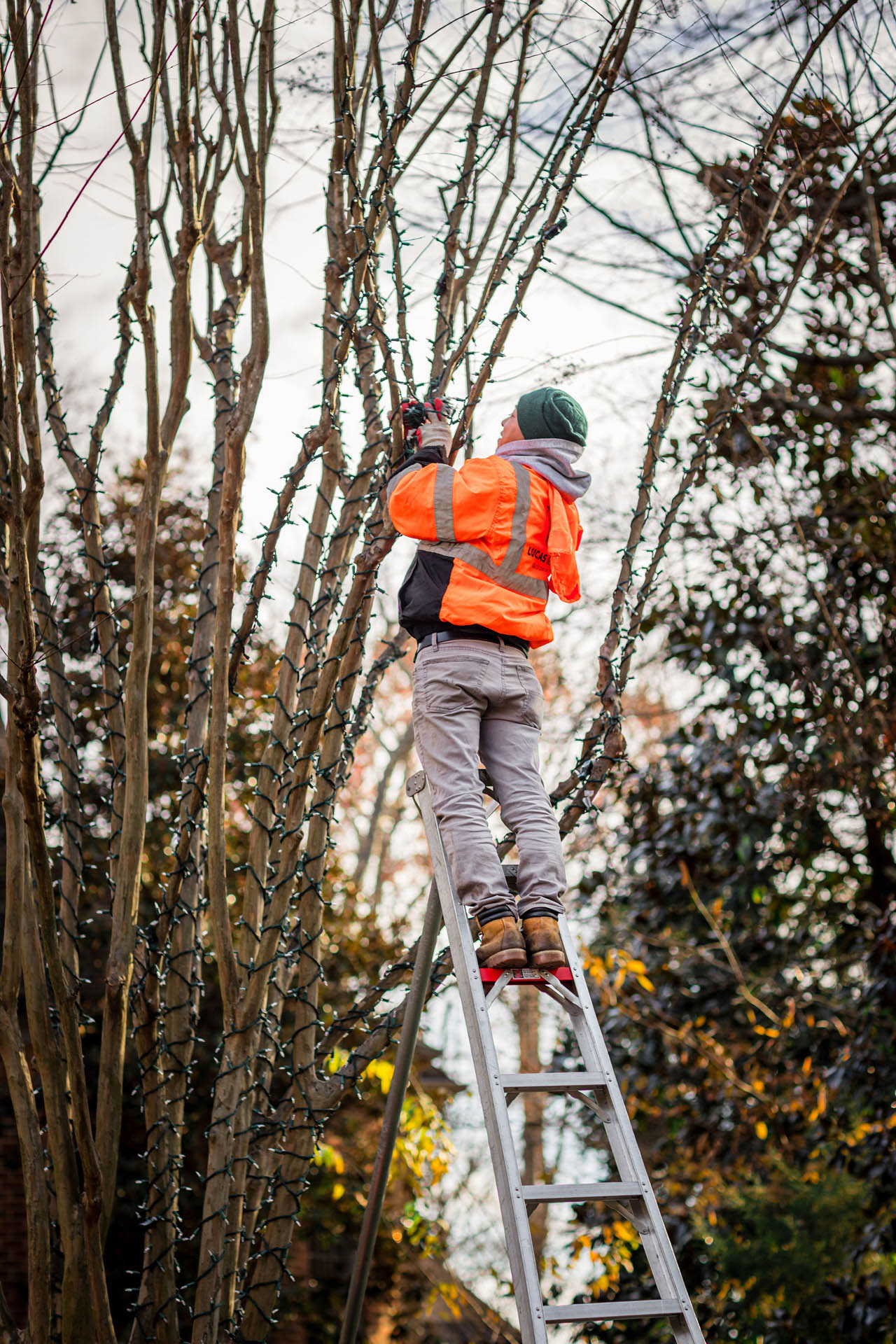 lucas and clark grounds company, professional lawn care and landscaping