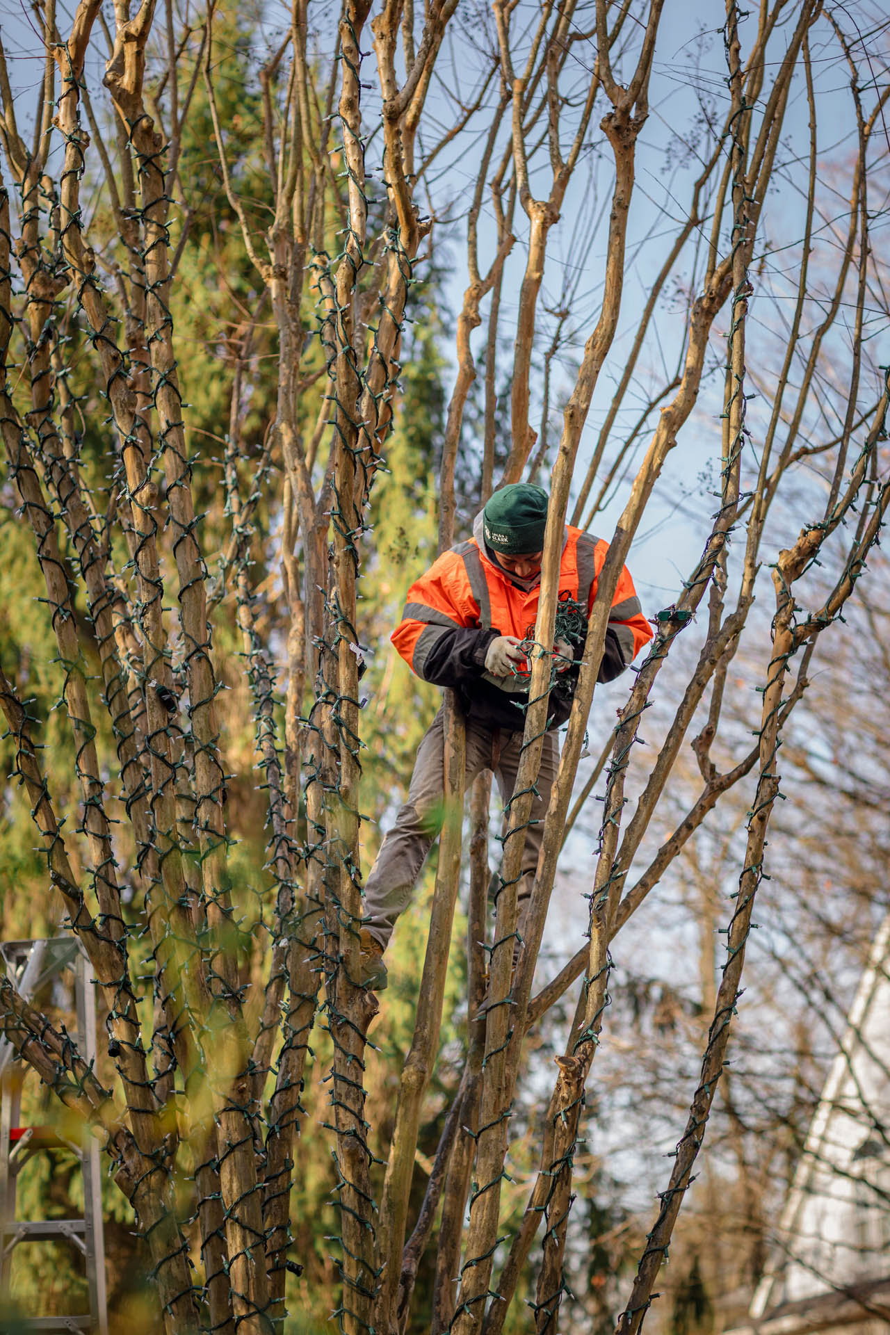 lucas and clark grounds company, professional lawn care and landscaping