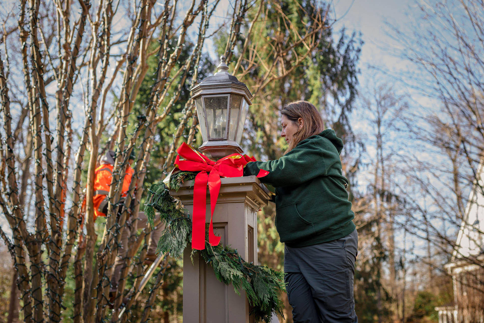 lucas and clark grounds company, professional lawn care and landscaping