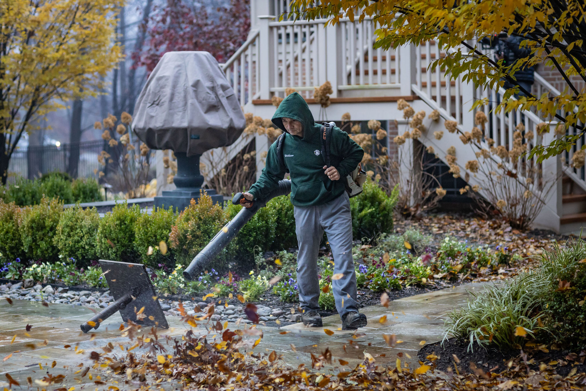 leaf management in great falls