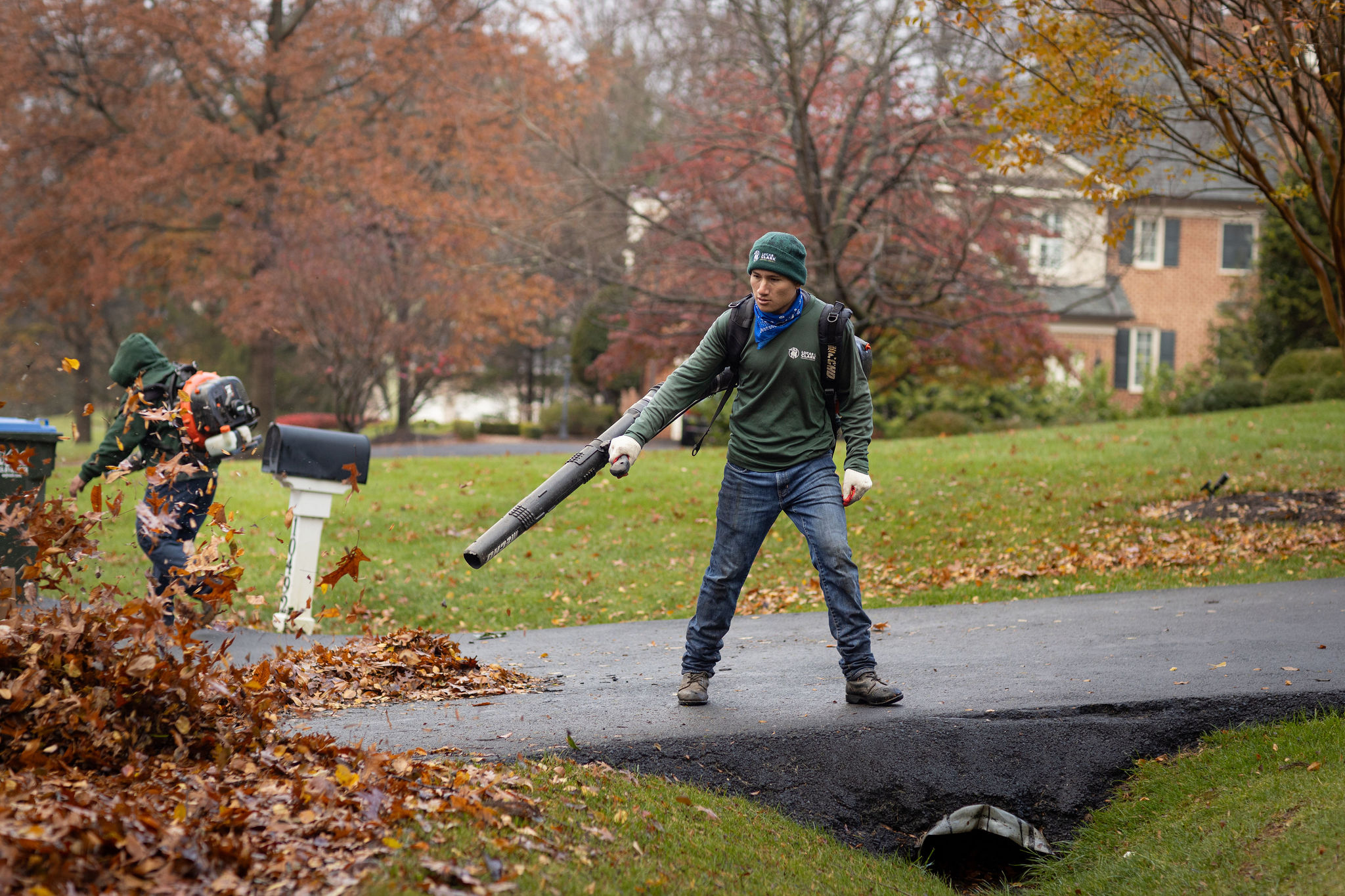 Leaf Removal Services VA