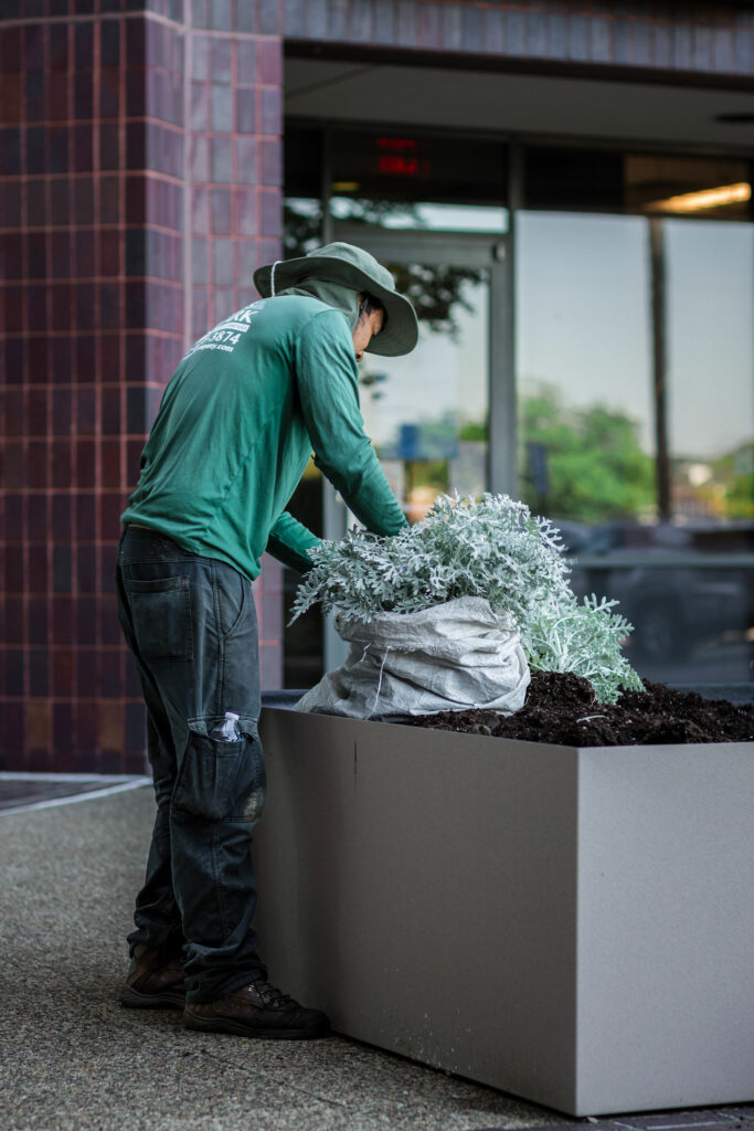 L&C Grounds annual flower rotation