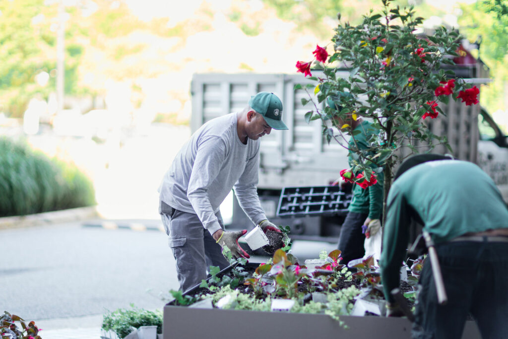 L&C Grounds annual flower rotation intall