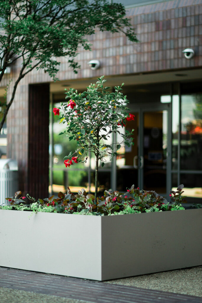 lucas and clark grounds company, professional lawn care and landscaping