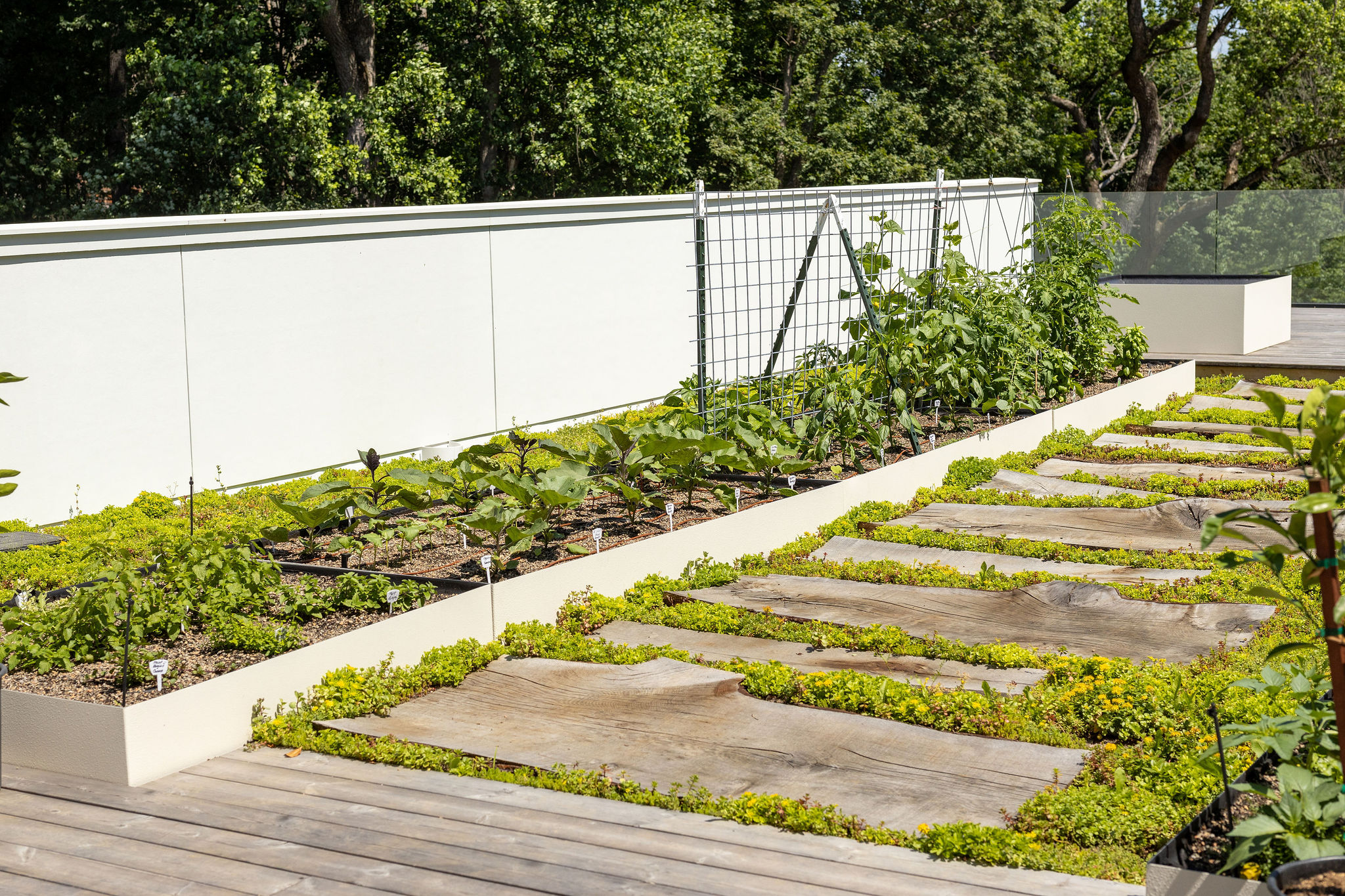 lucas and clark grounds company, professional lawn care and landscaping