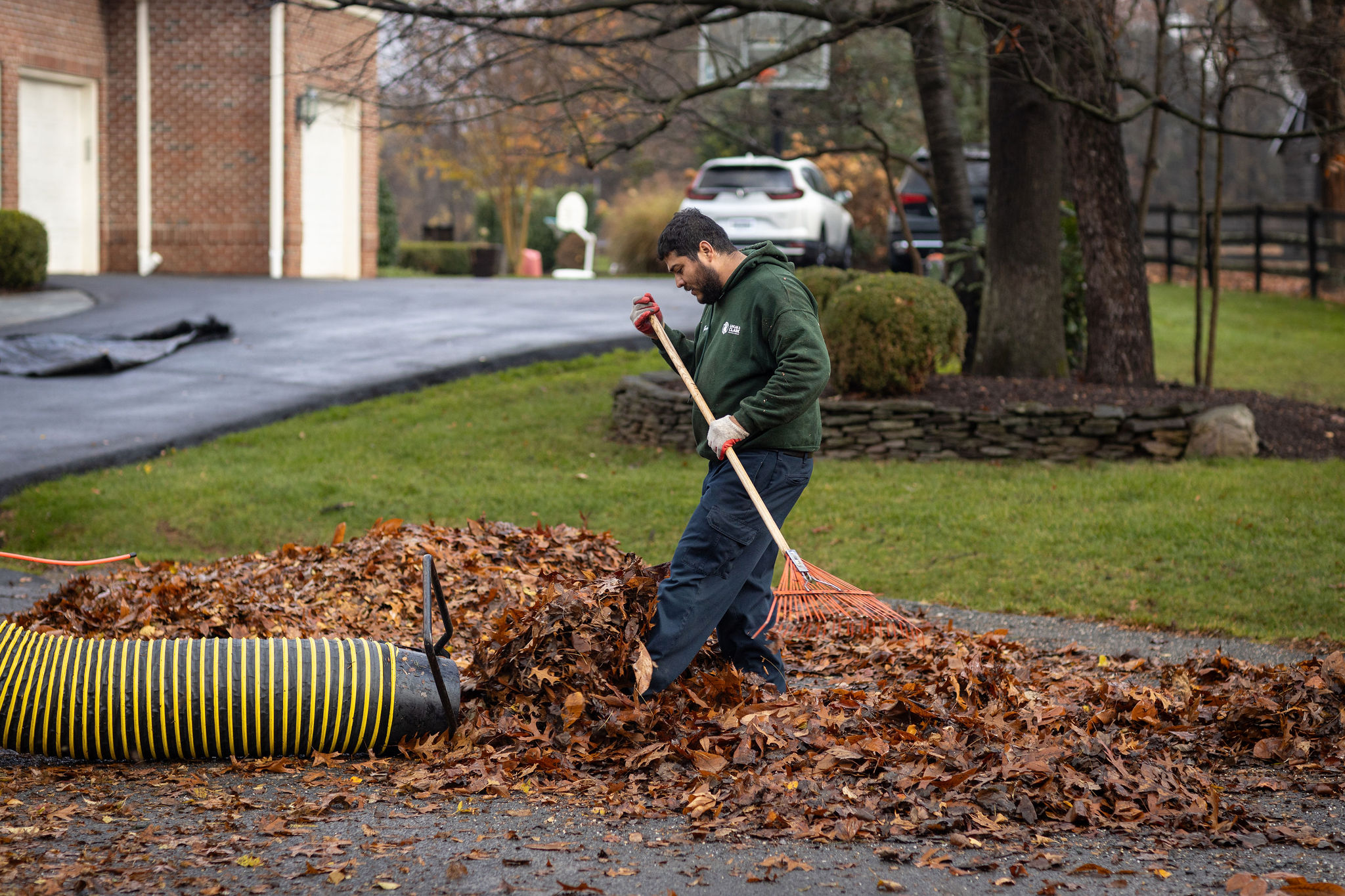 fall leaf clean up