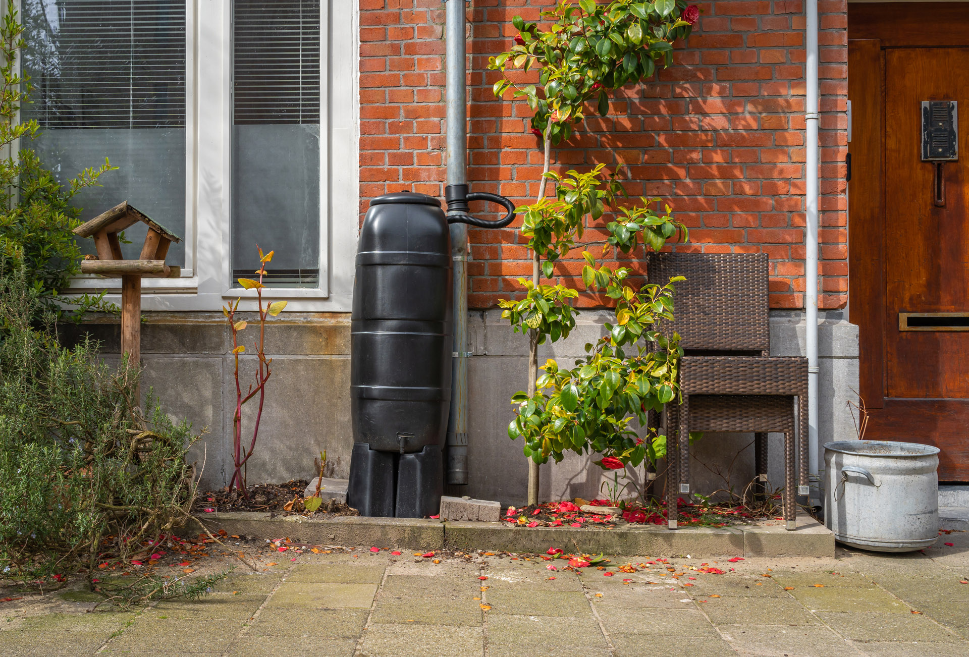 lucas and clark grounds company, professional lawn care and landscaping