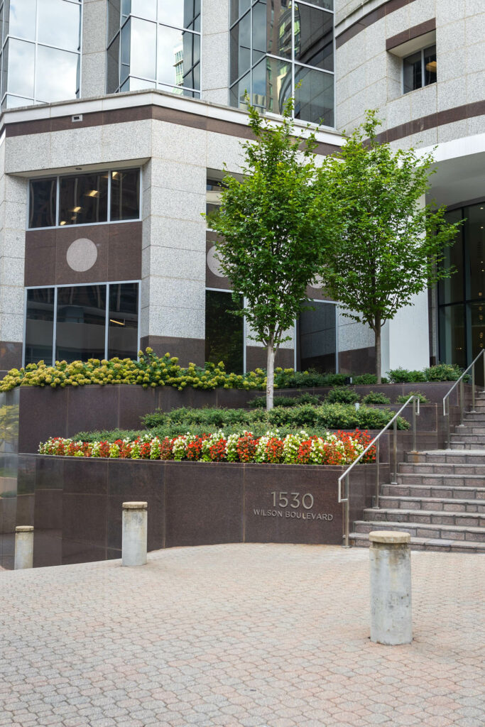 lucas and clark grounds company, professional lawn care and landscaping