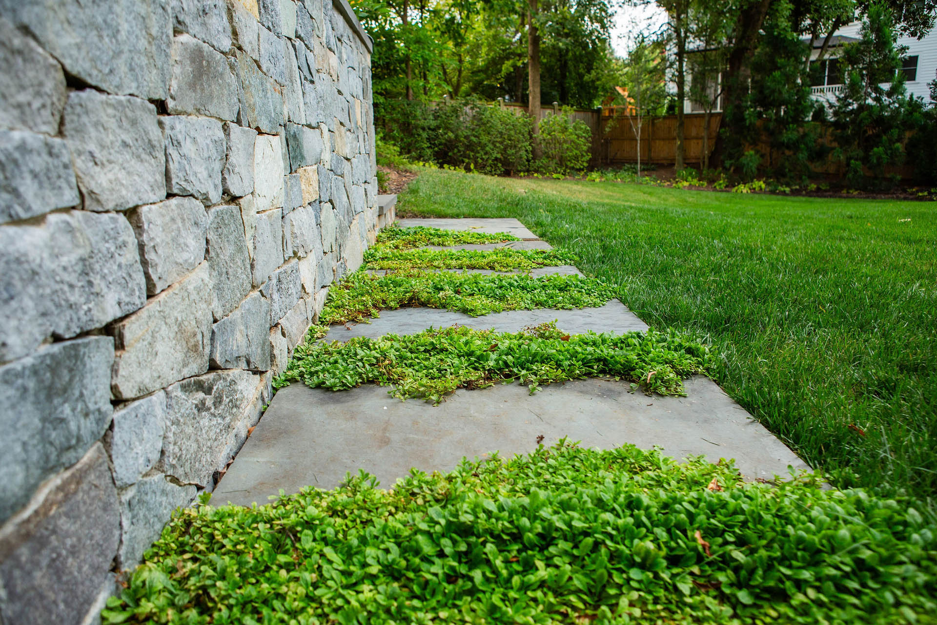 lucas and clark grounds company, professional lawn care and landscaping