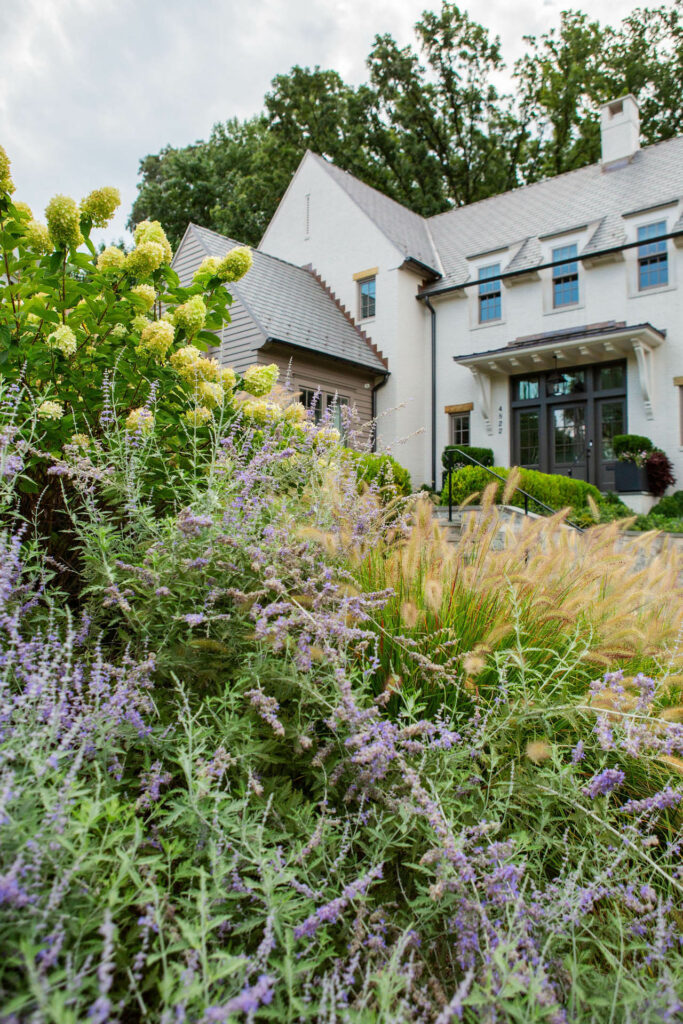 lucas and clark grounds company, professional lawn care and landscaping