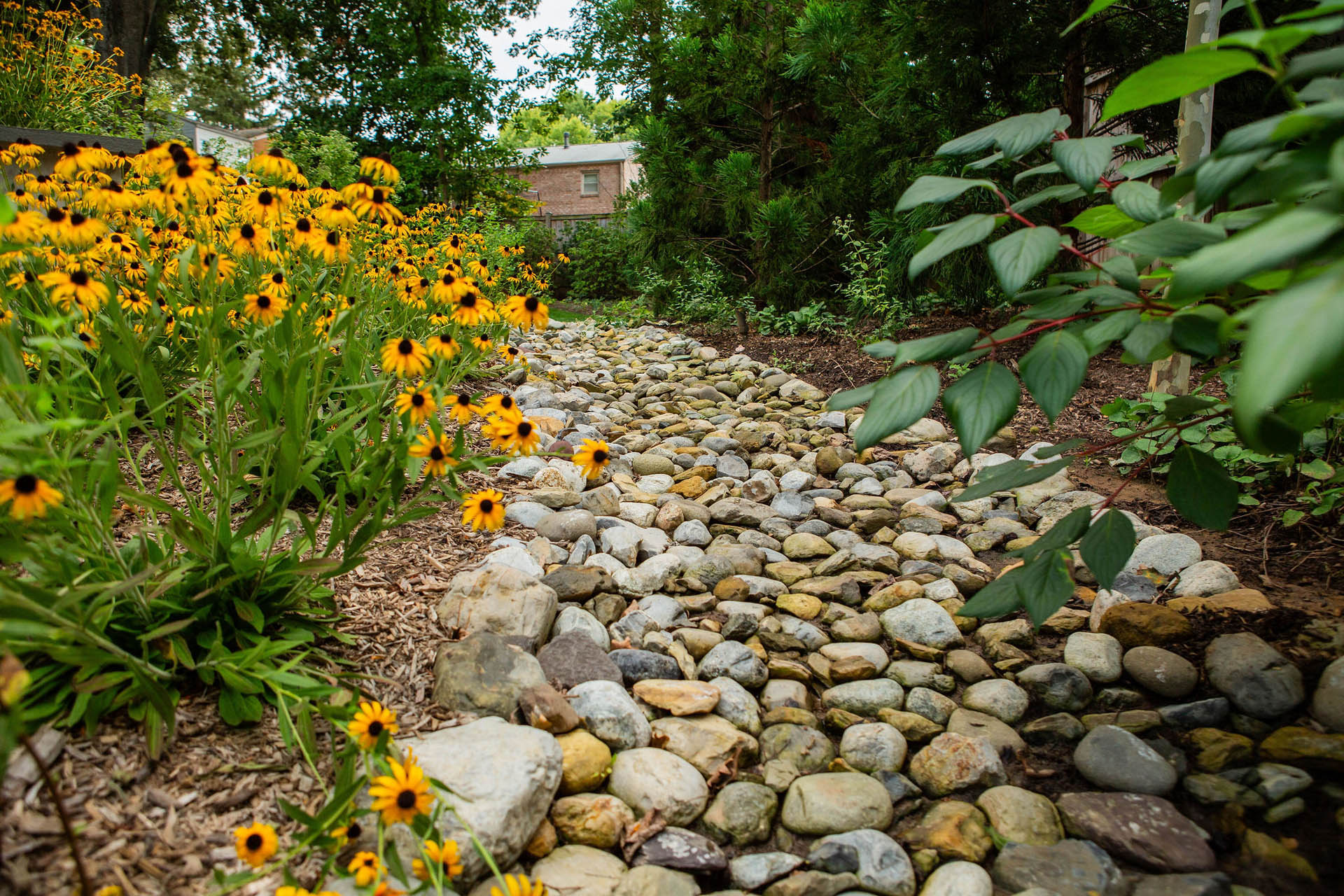 lucas and clark grounds company, professional lawn care and landscaping