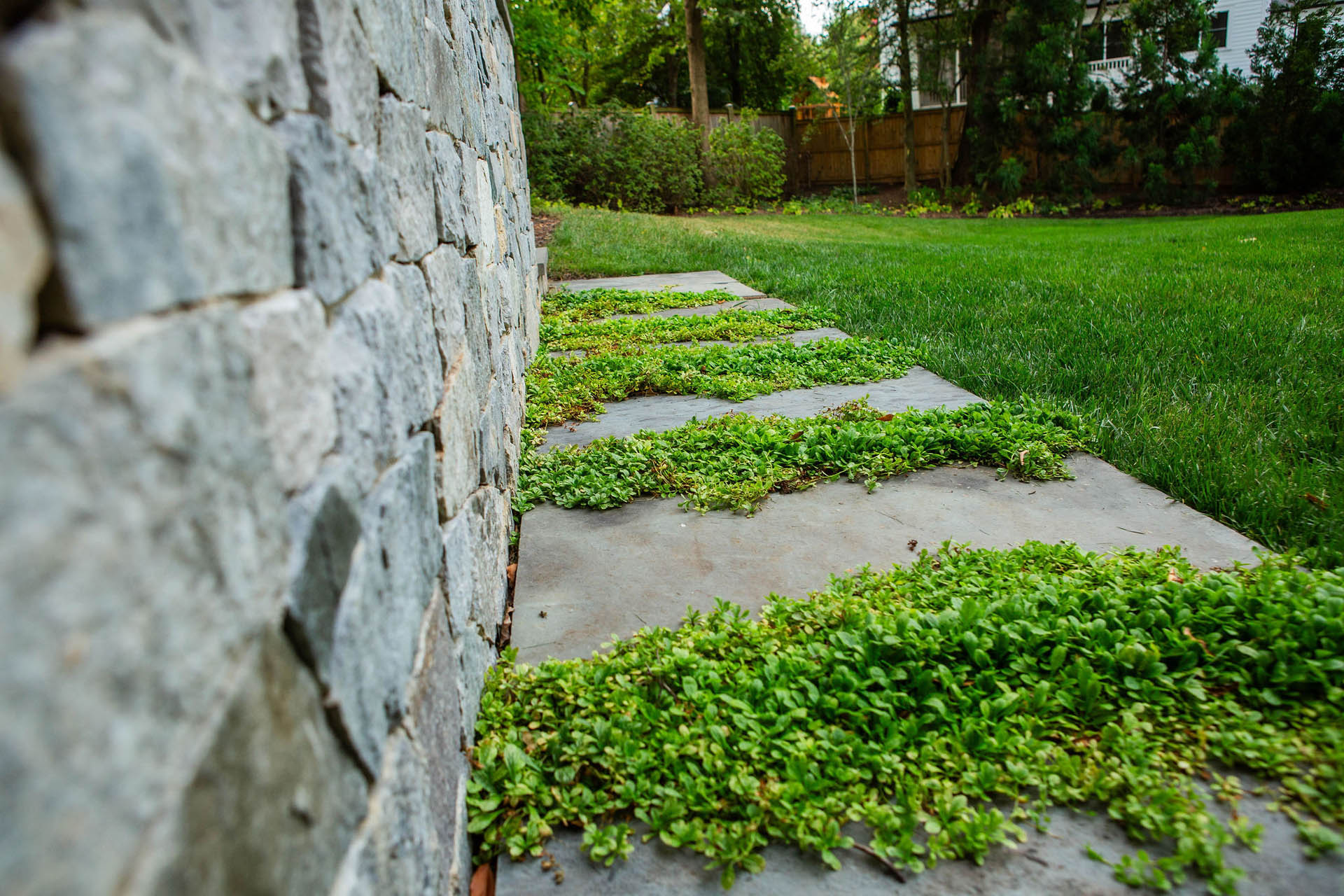 lucas and clark grounds company, professional lawn care and landscaping