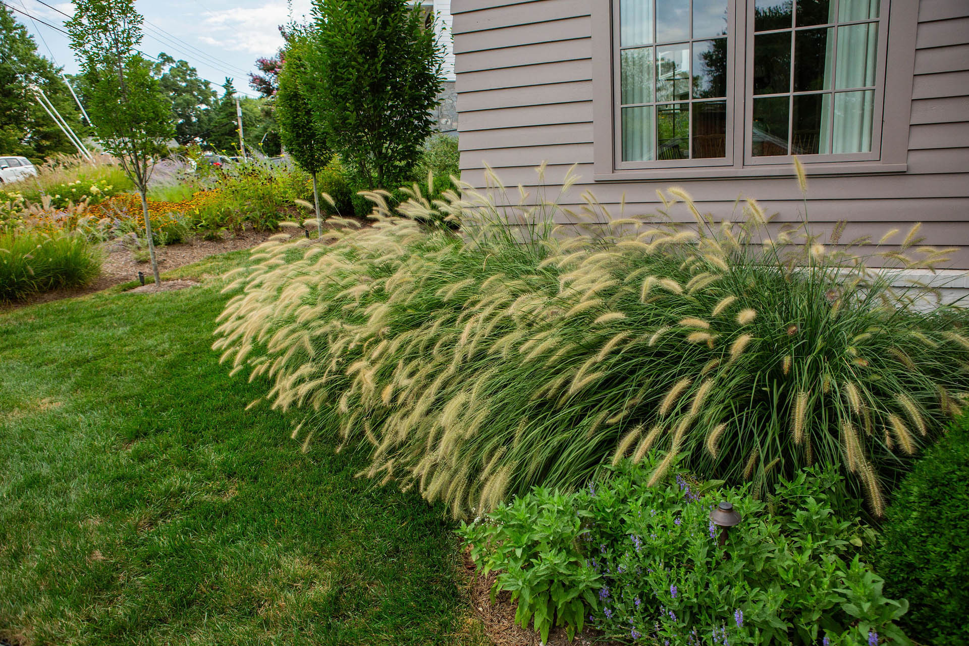 lucas and clark grounds company, professional lawn care and landscaping