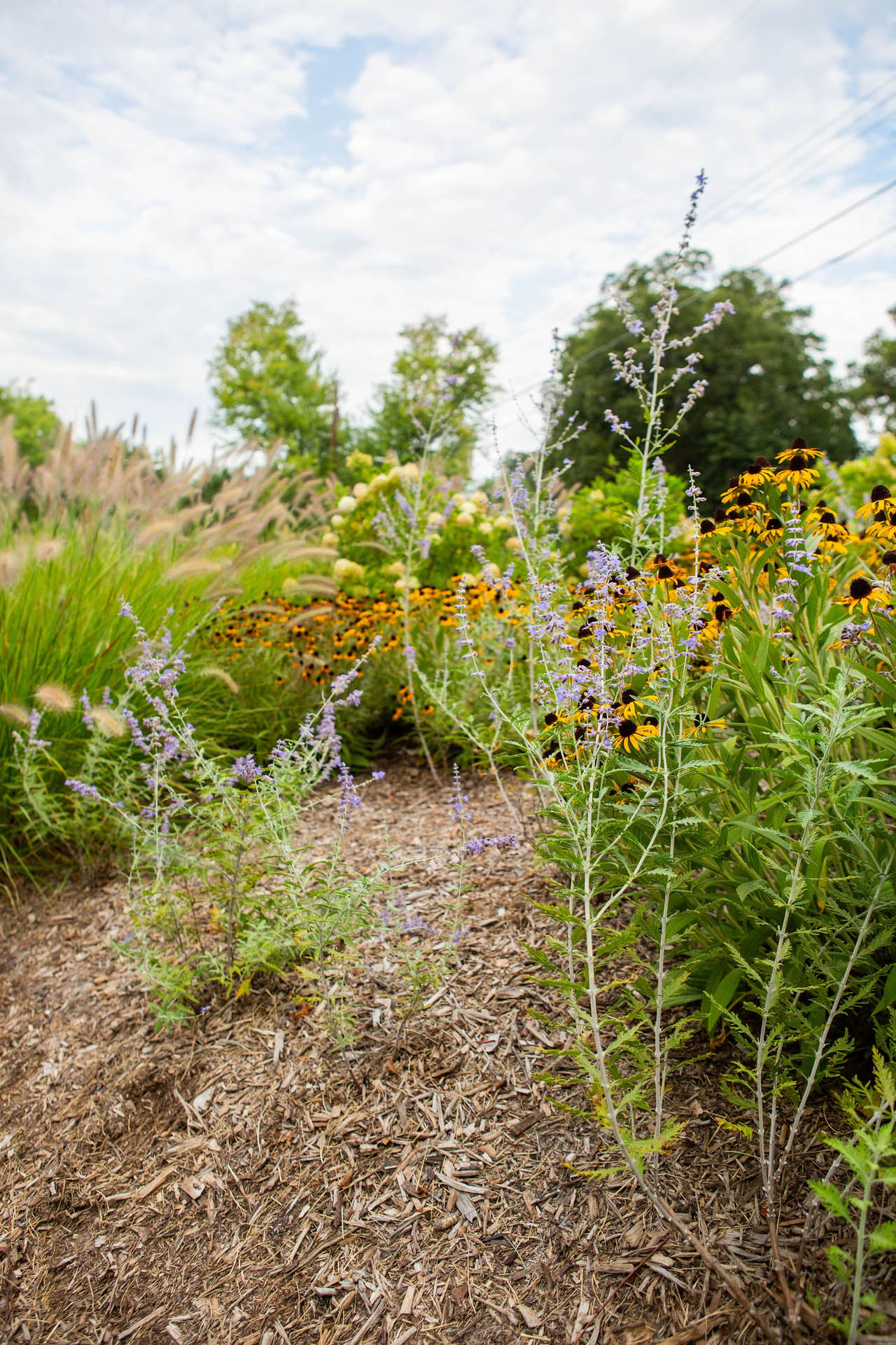 lucas and clark grounds company, professional lawn care and landscaping