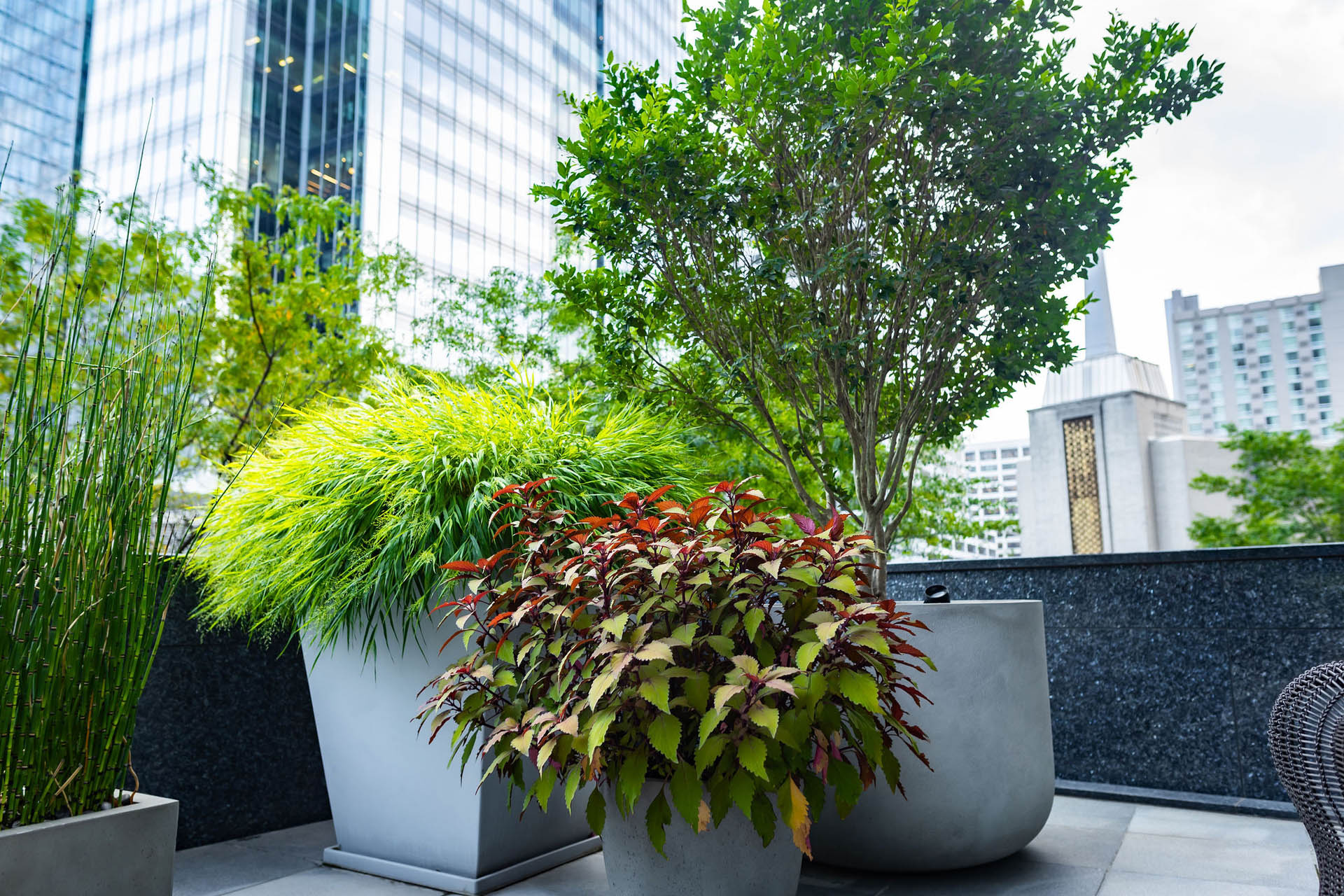 lucas and clark grounds company, professional lawn care and landscaping