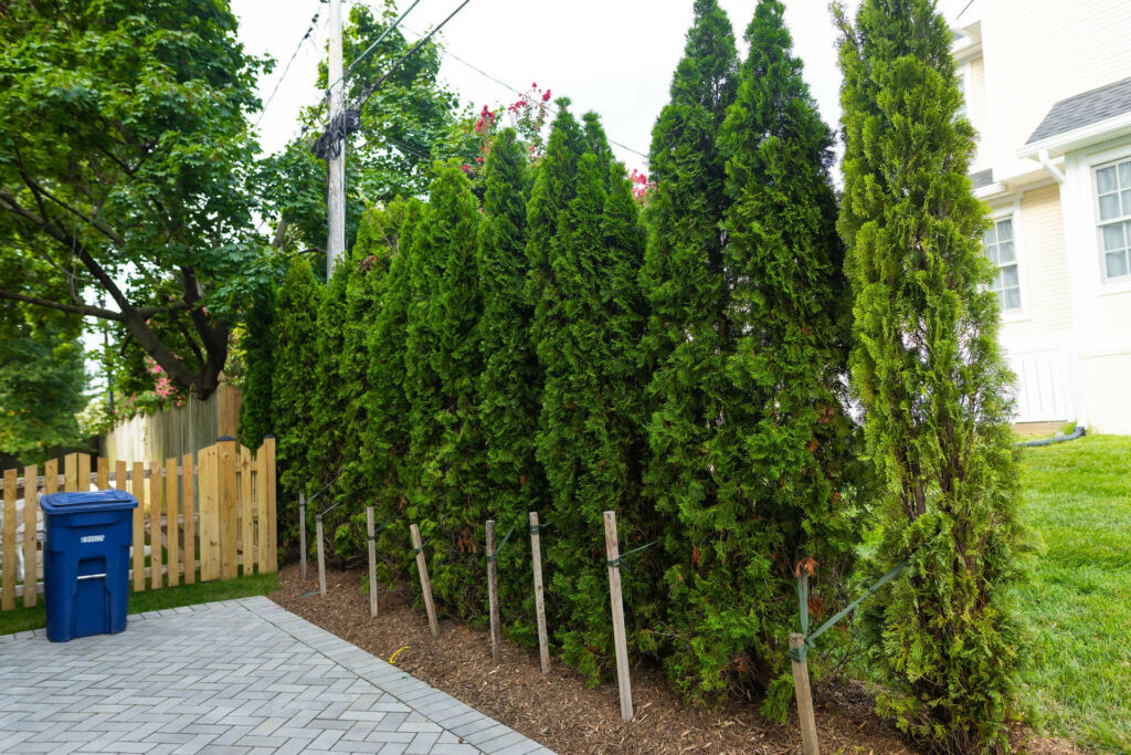 lucas and clark grounds company, professional lawn care and landscaping