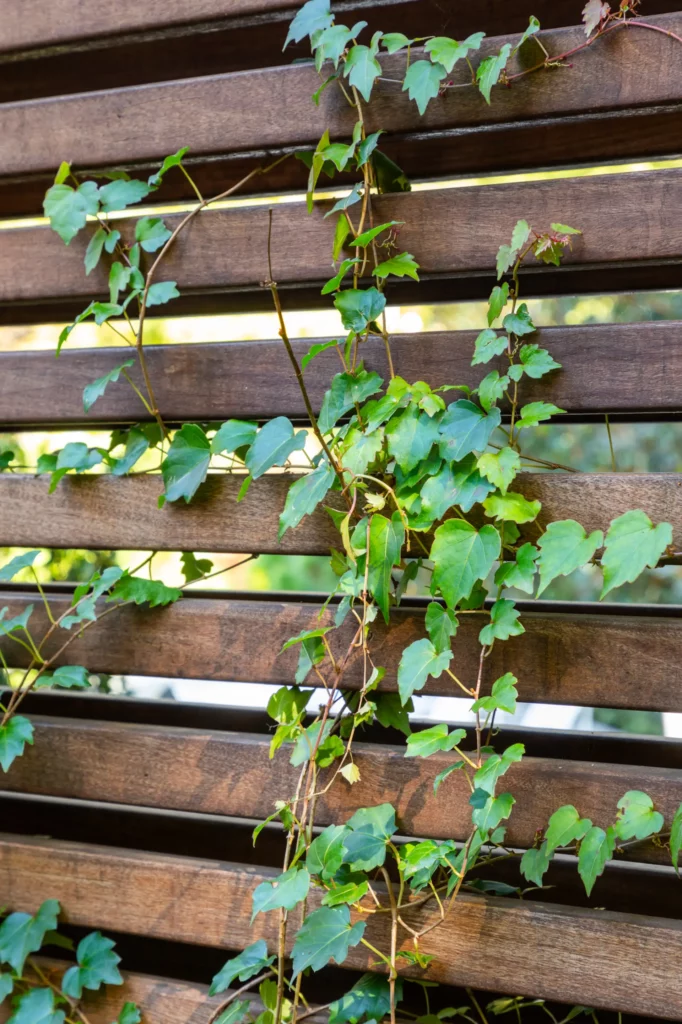 lucas and clark grounds company, professional lawn care and landscaping