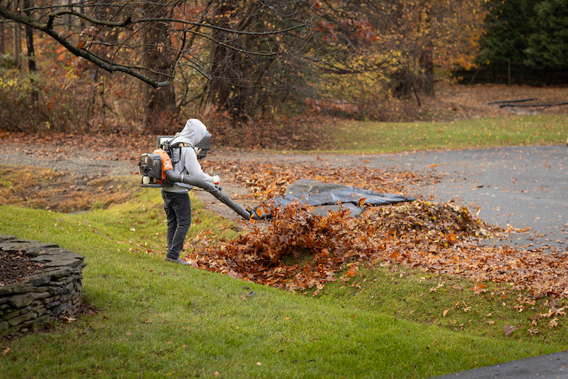 Fall service: Leaf Clean up
